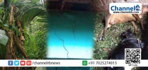 Read more about the article കനത്ത മഴയും കാറ്റും; പുണ്ടൂരിൽ വൻ നാശനഷ്ട്ടം; രണ്ട് പശുക്കള്‍ മിന്നലേറ്റ് ചത്തു