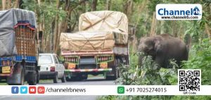 Read more about the article പ്രചാരണങ്ങള്‍ വ്യാജം; ബന്ദിപ്പൂര്‍ പാതയില്‍ പകല്‍ യാത്രാ നിരോധനം ഏര്‍പ്പെടുത്താന്‍ ഉദ്ദേശമില്ലെന്ന് കര്‍ണാടക സര്‍ക്കാര്‍