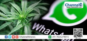 Read more about the article കഞ്ചാവ് വില്‍പ്പനയ്ക്കായി വാട്‌സാപ്പ് ഗ്രൂപ്പ് ഉണ്ടാക്കി; യുവാവ് അറസ്റ്റിൽ; ഗ്രൂപ്പില്‍ രാഷ്ട്രീയ നേതാക്കളും വിദ്യാര്‍ത്ഥികളും അംഗങ്ങള്‍