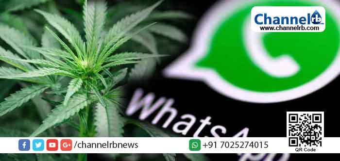 Read more about the article കഞ്ചാവ് വില്‍പ്പനയ്ക്കായി വാട്‌സാപ്പ് ഗ്രൂപ്പ് ഉണ്ടാക്കി; യുവാവ് അറസ്റ്റിൽ; ഗ്രൂപ്പില്‍ രാഷ്ട്രീയ നേതാക്കളും വിദ്യാര്‍ത്ഥികളും അംഗങ്ങള്‍