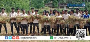 Read more about the article കൂട്ടികൾ വിത്തെറിഞ്ഞുണ്ടാക്കിയ നെൽക്കതിരുകൾ കുട്ടികൾ തന്നെ കൊയ്തു; പാവങ്ങൾക്ക് പുത്തരി സദ്യ