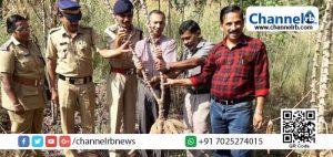 Read more about the article ഹരിത കേരളം മിഷൻ: ജില്ലാ ജയിലിലെ കപ്പ കൃഷി വിളവെടുപ്പ് നടത്തി