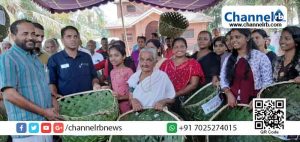 Read more about the article കൗമാരകലയുടെ മഹാമേള പ്ലാസ്റ്റിക് രഹിതം; സ്കൂള്‍ കലോത്സവത്തിന് ഓല ക്കുട്ടകള്‍ ഒരുങ്ങുന്നു