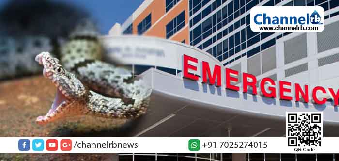 You are currently viewing കാസർകോട് സ്കൂൾ വിട്ട് വീട്ടിലേക്ക് മടങ്ങിയ വിദ്യാർത്ഥിയെ പാമ്പുകടിച്ചു; രക്ഷപെട്ടത് ഒപ്പമുണ്ടായിരുന്ന കൂട്ടുകാരുടെ അവസരോചിത ഇടപെടലില്‍