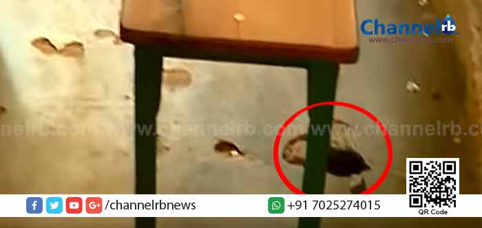 You are currently viewing വിദ്യാര്‍ഥിനി പാമ്പുകടിയേറ്റ് മരിച്ചു; അധ്യാപകന് സസ്‌പെന്‍ഷന്‍; മരിച്ചത് ഷഹല ഷെറിന്‍ എന്ന പത്തുവയസ്സുകാരി; ക്ലാസ് മുറിയിൽ ഇഴജന്തുക്കള്‍ക്ക് കയറാവുന്ന മാളങ്ങള്‍..