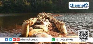 Read more about the article ജലസംരക്ഷണത്തിന് കാസര്‍കോടന്‍ മാതൃക; തടയണ ഉത്സവത്തിന് 29 ന് തുടക്കമാകും; ജില്ലയില്‍ വരുന്നത് 2400 തടയണകള്‍