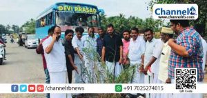 Read more about the article ബേക്കല്‍ പാലത്തില്‍ കുഴി; പുല്ല് നട്ട് പ്രതിഷേധവുമായി ഐ.എൻ.എൽ പ്രവർത്തകർ