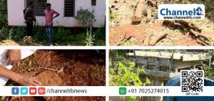 Read more about the article മുറ്റത്തെ മരം മുറിച്ചതിന് കണ്ണൂരിലെ ദമ്പതികളെ അറസ്റ്റ് ചെയ്ത് കര്‍ണാടക; കേരളത്തിന്‍റെ മണ്ണില്‍ നിന്നിരുന്ന മരമാണ് മുറിച്ചതെന്ന് പറഞ്ഞിട്ടും ജാമ്യമില്ല