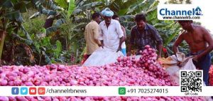 Read more about the article ഉള്ളി കൈവശം വയ്ക്കുന്നതിന് പരിധി നിശ്ചയിച്ചു; പൂഴ്ത്തിവയ്ക്കുന്നവര്‍ക്ക് പിടിവീഴും; കര്‍ശന നടപടിയുമായി തമിഴ്‍നാട് സര്‍ക്കാര്‍