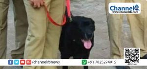 Read more about the article ഗവര്‍ണറുടെ യാത്രാ വഴിയില്‍ സുരക്ഷ ഒരുക്കാനെത്തിച്ച പോലീസ് നായ ബ്ലാക്കി ചത്ത നിലയില്‍; കാരണം കടുത്ത ചൂടു മൂലമുള്ള ഹീറ്റ് സ്‌ട്രോക്ക്