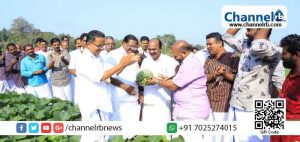 Read more about the article ഈ സര്‍ക്കാര്‍ അധികാരത്തില്‍ വന്നതിന് ശേഷം കാര്‍ഷിക രംഗത്ത് വന്‍ കുതിച്ചുചാട്ടം: റവന്യൂ മന്ത്രി ഇ. ചന്ദ്രശേഖരന്‍