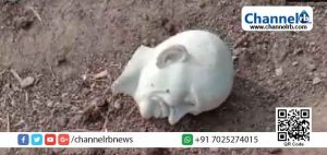 Read more about the article ഗുജറാത്തില്‍ മഹാത്മാ ഗാന്ധിയുടെ പ്രതിമ അജ്ഞാതര്‍ തകര്‍ത്തു