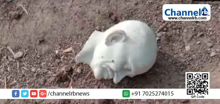 You are currently viewing ഗുജറാത്തില്‍ മഹാത്മാ ഗാന്ധിയുടെ പ്രതിമ അജ്ഞാതര്‍ തകര്‍ത്തു