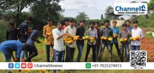 Read more about the article തരിശുഭൂമികളില്‍  പച്ചക്കറി വിളയിക്കാനൊരുങ്ങി  കാറഡുക്ക ബ്ലോക്ക്; വിദ്യാലയങ്ങളില്‍ കൃഷി പാഠങ്ങള്‍