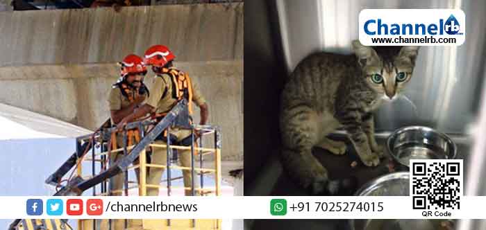 Read more about the article സുഖം പ്രാപിച്ച് മെട്രോ മിക്കി; സ്വന്തമാക്കാന്‍ നിരവധിപേര്‍; അവകാശവാദങ്ങളിങ്ങനെ