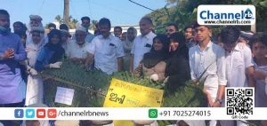 Read more about the article ഹരിതകേരളം മിഷന്‍റെ നീര്‍ച്ചാല്‍ പുനരുജ്ജീവന പ്രവര്‍ത്തനം; ബദര്‍പ്പള്ളി ഡ്രൈനേജ് നീര്‍ച്ചാലിന് പുതുജീവന്‍