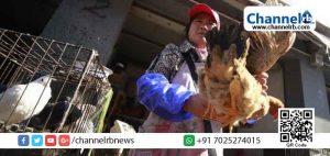 Read more about the article കൊറോണയ്ക്കു പിന്നാലെ ചൈനയില്‍ പക്ഷിപ്പനിയും പടരുന്നു