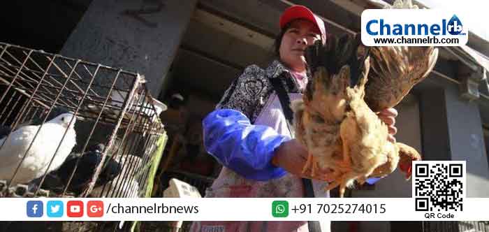 You are currently viewing കൊറോണയ്ക്കു പിന്നാലെ ചൈനയില്‍ പക്ഷിപ്പനിയും പടരുന്നു