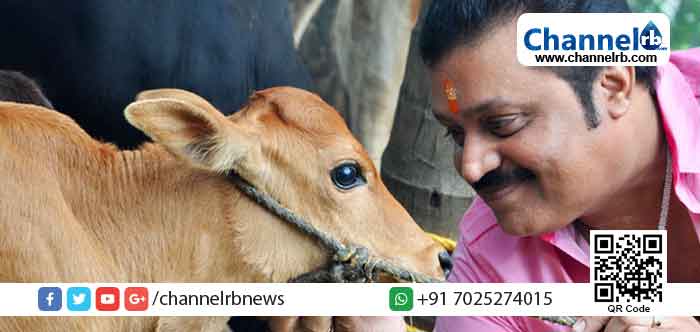 Read more about the article സുരേഷ് ഗോപി അംഗമായ സ്വകാര്യ ട്രസ്റ്റില്‍ ദുരിതാവസ്ഥയില്‍ കഴിയുന്ന പശുക്കളെ തിരുവനന്തപുരം നഗരസഭ ഏറ്റെടുത്തു