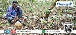 Read more about the article വാ​വ സു​രേ​ഷി​ന്‍റെ ആ​രോ​ഗ്യ​നി​ല​യി​ൽ നേ​രി​യ പു​രോ​ഗ​തി; അ​പ​ക​ട​നി​ല ത​ര​ണം ചെയ്തിട്ടില്ല