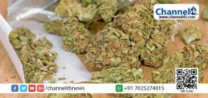 Read more about the article ഓട്ടോറിക്ഷയില്‍ കഞ്ചാവ് കടത്താന്‍ ശ്രമം; വയനാട്ടിൽ രണ്ട് പേര്‍ പിടിയില്‍