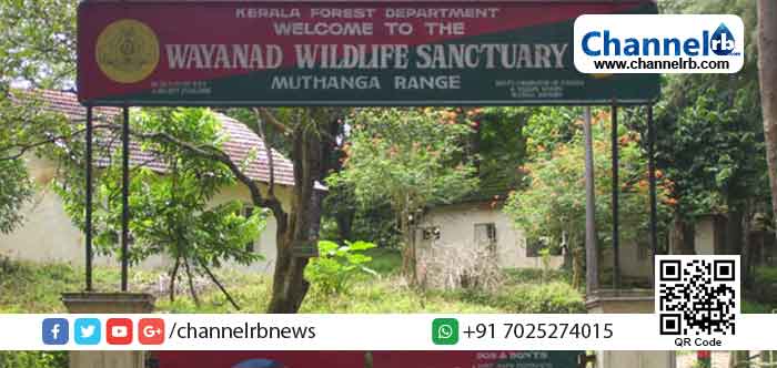 Read more about the article വയനാട് വന്യജീവി സങ്കേതത്തില്‍ പൊതുജനങ്ങള്‍ക്ക് പ്രവേശനം നിരോധിച്ചു