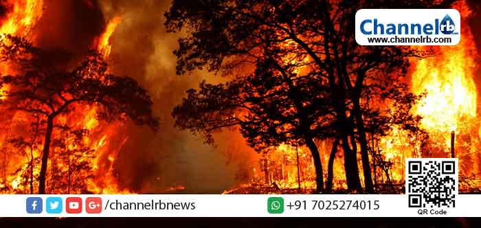 Read more about the article കൊറോണ യാത്രാവിലക്ക് അവഗണിച്ച് ഇടുക്കിയില്‍ കാട്ടുപാതയിലൂടെ യാത്ര ചെയ്തു;  തേയിലത്തോട്ടം തൊഴിലാളികള്‍ കാട്ടുതീയില്‍പ്പെട്ടു