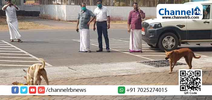 You are currently viewing തെരുവ് നായ്ക്കള്‍ക്കും ഭക്ഷണം നല്‍കി കാഞ്ഞങ്ങാട് നഗരസഭ