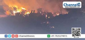 Read more about the article കണ്ണൂരില്‍ ഒരേക്കറോളമുള്ള സ്ഥലത്തെ കാറ്റാടി മരങ്ങള്‍ക്ക് തീപിടിച്ചു; അന്വേഷണം ആരംഭിച്ച് പോലീസ്‌