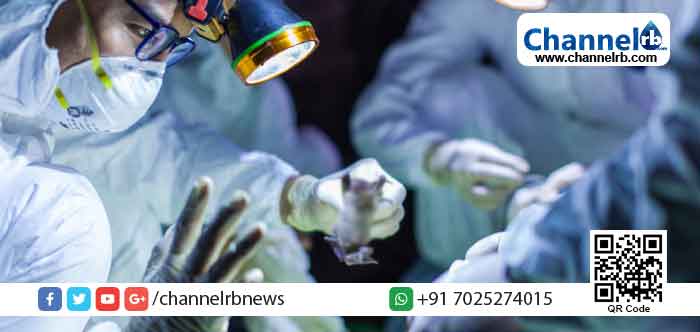 Read more about the article കൊറോണ: കൊച്ചിയില്‍ അഞ്ച് പേര്‍ക്ക് കൂടി വൈറസ് ബാധ സ്ഥിരീകരിച്ചു; ബ്രിട്ടനില്‍ നിന്നുള്ള സംഘം കൊച്ചിയിലെത്തിയത് മൂന്നാര്‍ സന്ദര്‍ശനത്തിന് ശേഷം