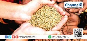 Read more about the article സംസ്ഥാനത്തെ 87 ലക്ഷം കുടുംബങ്ങള്‍ക്ക് ഭക്ഷ്യധാന്യം; സൗജന്യ റേഷന്‍ വിതരണം ഏപ്രില്‍ ഒന്ന് മുതല്‍