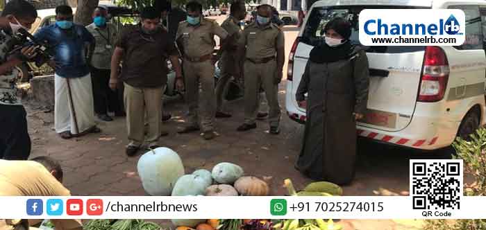 Read more about the article കാസര്‍കോട് നഗരസഭാ കമ്മ്യൂണിറ്റി കിച്ചനിലേക്ക് പച്ചക്കറികള്‍ സമാഹരിച്ച് നല്‍കി മോട്ടോര്‍ വാഹന വകുപ്പിന്‍റെ കരുതല്‍