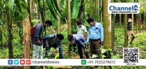 Read more about the article ഡെങ്കിപ്പനി; കാസർകോട് ജില്ലയിൽ പ്രതിരോധ പ്രവര്‍ത്തനങ്ങള്‍  ശക്തമാക്കി ആരോഗ്യ വകുപ്പ്