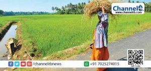 Read more about the article സുഭിക്ഷ കേരളം പദ്ധതി; കൃഷിയിറക്കാന്‍ കാഞ്ഞങ്ങാട് ബ്ലോക്ക് പഞ്ചായത്ത് കണ്ടെത്തിയത് 725 ഏക്കര്‍ സ്ഥലം