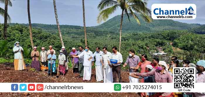 Read more about the article മഴ വെള്ള സംഭരണത്തിന് മഴപ്പൊലിമ; അരിശ്രീ അരി വിപണികളില്‍; കാസര്‍കോടിന്‍റെ കാര്‍ഷിക സംസ്‌കൃതി തിരിച്ചു പിടിക്കാന്‍  കുടുംബശ്രീ മാതൃക