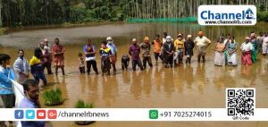 Read more about the article ഭക്ഷ്യ ഭദ്രതയുടെ ഉറപ്പ്; എന്‍മകജെ പഞ്ചായത്തിലെ രണ്ട് ഏക്കര്‍ തരിശ് നിലത്ത് പൊന്ന് വിളയിക്കാനൊരുങ്ങി പെര്‍ള സര്‍വ്വീസ് സഹകരണ ബാങ്ക്