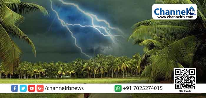 Read more about the article കേരളത്തില്‍ അടുത്ത അഞ്ചു ദിവസം അതിശക്ത മഴയ്ക്ക് സാധ്യത; കാസര്‍കോട് ഉള്‍പ്പെടെ 4 ജില്ലകളിൽ യെല്ലോ അലർട്ട്