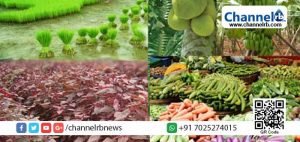 Read more about the article സുഭിക്ഷ കേരളം: ഹൈടെക്കായി കാസര്‍കോട്;  വിവര ശേഖരണവും വിപണനവും മൊബൈല്‍ ആപ്പ് വഴി