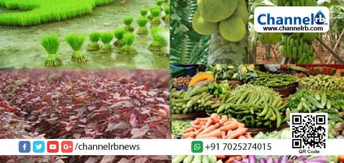 You are currently viewing സുഭിക്ഷ കേരളം: ഹൈടെക്കായി കാസര്‍കോട്;  വിവര ശേഖരണവും വിപണനവും മൊബൈല്‍ ആപ്പ് വഴി