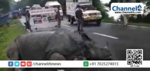Read more about the article റോഡില്‍ തളര്‍ന്നുറങ്ങുന്ന കണ്ടാമൃഗം; ശല്യം ചെയ്യാതെ സൗകര്യമൊരുക്കി യാത്രക്കാര്‍; പ്രളയം നാശംവിതയ്ക്കുന്ന അസമില്‍ നിന്നുള്ള ഒരു കാഴ്ച