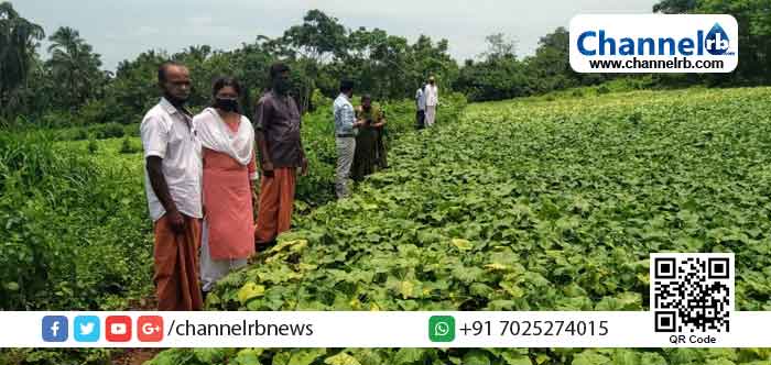 You are currently viewing സുഭിക്ഷ കേരളം ജില്ലാതല ഡോക്യൂമേന്റേഷന്‍: കാഞ്ഞങ്ങാട് ബ്ലോക്ക് പഞ്ചായത്ത് പരിധിയില്‍ ഉദ്യോഗസ്ഥസംഘം  കൃഷിയിടങ്ങള്‍ സന്ദര്‍ശിച്ചു