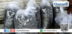 Read more about the article മീന്‍ലോറിയില്‍ കഞ്ചാവ് കടത്താന്‍ ശ്രമം; 140 കിലോ കഞ്ചാവുമായി  രണ്ടുപേർ പിടിയിൽ