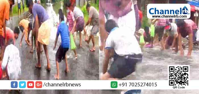 Read more about the article മഴ ശക്തമായപ്പോൾ തോടുകൾ നിറഞ്ഞ് റോഡില്‍ നിറയെ വെള്ളം, ഇതോടൊപ്പം മത്സ്യവും: മീനുകളെ പിടിക്കാന്‍ ഓടികൂടി നാട്ടുകാര്‍