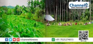 Read more about the article ഭക്ഷ്യ സുരക്ഷയ്ക്ക് കാവലായി ബേത്തലത്തെ ബാല്യകാല സുഹൃത്തുക്കൾ