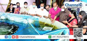 Read more about the article നിങ്ങള്‍ക്ക് പിടക്കുന്ന മീന്‍ വേണോ…അതും റെഡി;  ബയോ ഫ്‌ളോക്കുകളുമായി നീലേശ്വരം നഗരസഭ