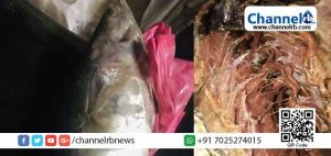 Read more about the article കാസര്‍കോട് മാര്‍ക്കറ്റില്‍ നിന്നും ചൊവ്വാഴ്ച വാങ്ങിയ മത്സ്യത്തില്‍ പുഴുക്കള്‍; കബളിപ്പിക്കപ്പെട്ടത് സാധാരണക്കാരിയായ വീട്ടമ്മ; പരിശോധന നടത്തി നടപടി സ്വീകരിക്കേണ്ടവര്‍ നോക്കുകുത്തികളാകുന്നു