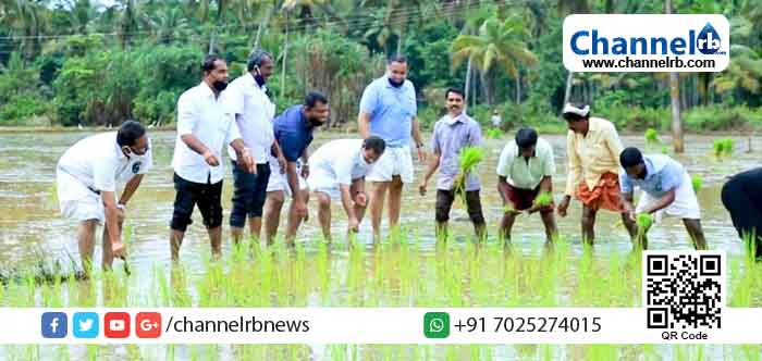 Read more about the article കാര്‍ഷിക മേഖലയില്‍ സ്വയം പര്യാപ്തത ലക്‌ഷ്യം; കുമ്പളയില്‍ ഒരു കോടി രൂപയുടെ കാര്‍ഷിക പദ്ധതികള്‍ നടപ്പാക്കുന്നു