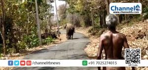 Read more about the article കാസർകോട് ജില്ലയിലെ മലയോരമേഖലയിലെ വന്യമൃഗശല്യം: ജനപ്രതിനിധികളുടെ യോഗം ചേരും