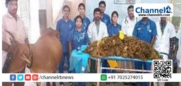 Read more about the article പശുവിന്‍റെ വയര്‍ പരിശോധിച്ച ഡോക്ടര്‍മാര്‍ ഞെട്ടി; കാരണം ഇതാണ്!!