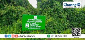 Read more about the article അതിജീവന വേരുറപ്പിച്ച് മടിക്കൈയിലെ പച്ചത്തുരുത്തുകള്‍;  100 പച്ചത്തുരുത്തുകള്‍ ലക്ഷ്യമിട്ട് പഞ്ചായത്ത്